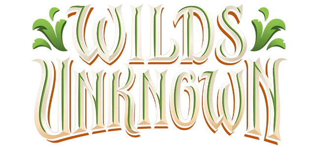 Lorcana - Wilds Unknown