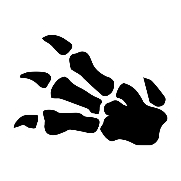 Fossil Set